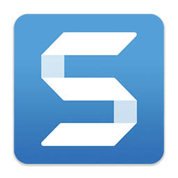 TechSmith Snagit 2026.0.1